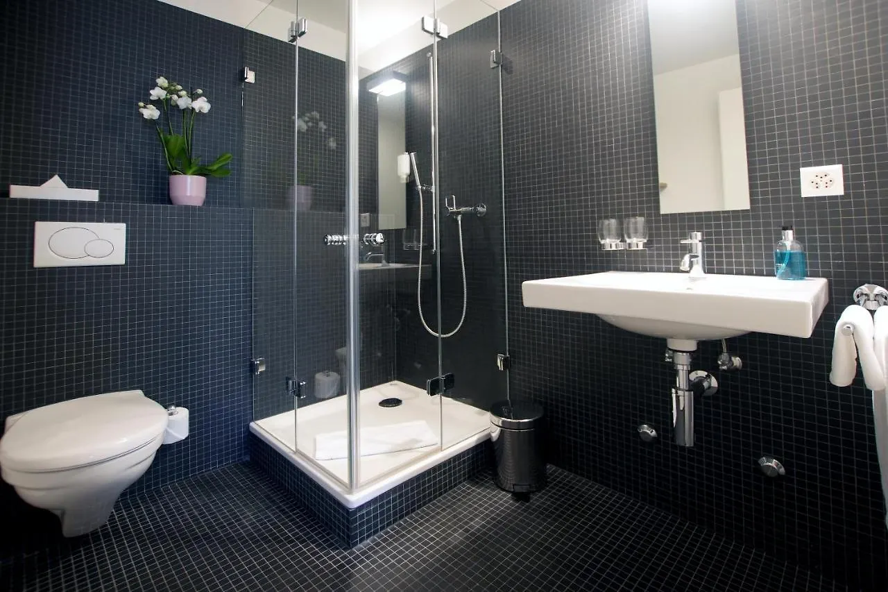 Hotel Hotel-Restaurant Lowen Dielsdorf